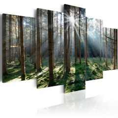 Artgeist Wandbild - Fairytale Forest