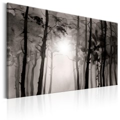 Artgeist Wandbild - Foggy Forest