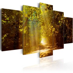 Artgeist Wandbild - Forest in the Sunlight
