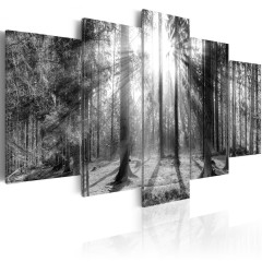 Artgeist Wandbild - Forest of Memories