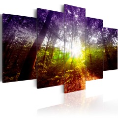 Artgeist Wandbild - Rainbow Forest