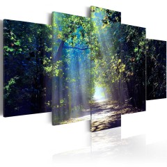 Artgeist Wandbild - Sunny Forest Path