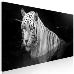 Artgeist Wandbild - Shining Tiger (1 Part) Black and White Narrow