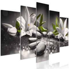 Artgeist Wandbild - Lilies and Stones (5 Parts) Wide Grey
