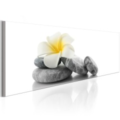 Artgeist Wandbild - White Lotus