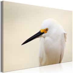 Artgeist Wandbild - Snowy Egret (1 Part) Wide