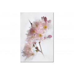Artgeist Wandbild - Spring in Japan (1 Part) Vertical