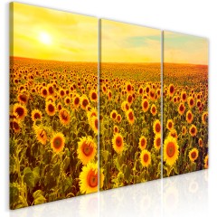Artgeist Wandbild - Sunflowers at Sunset (3 Parts)